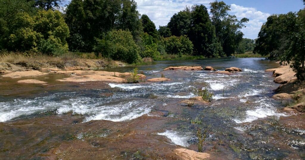 William B Pond Recreation Area | Visit Rancho Cordova